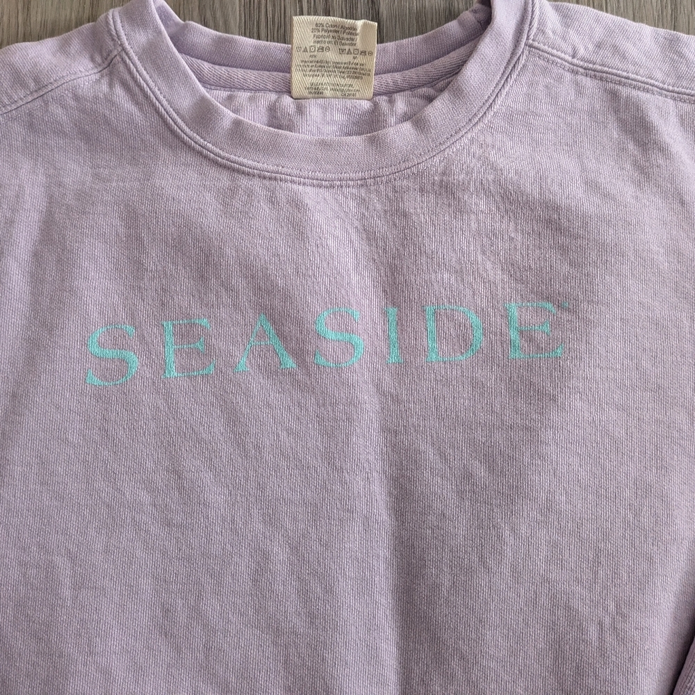 Seaside, Comfort Colors Sweatshirt Small Light Purple And Teal Like New - Picture 2 of 5